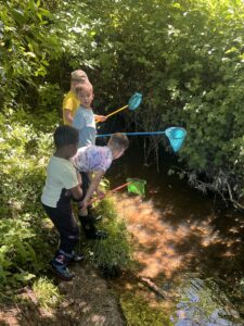 Observation du ruisseau