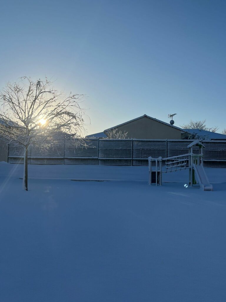 PHOTO-2026-01-06-10-02-02