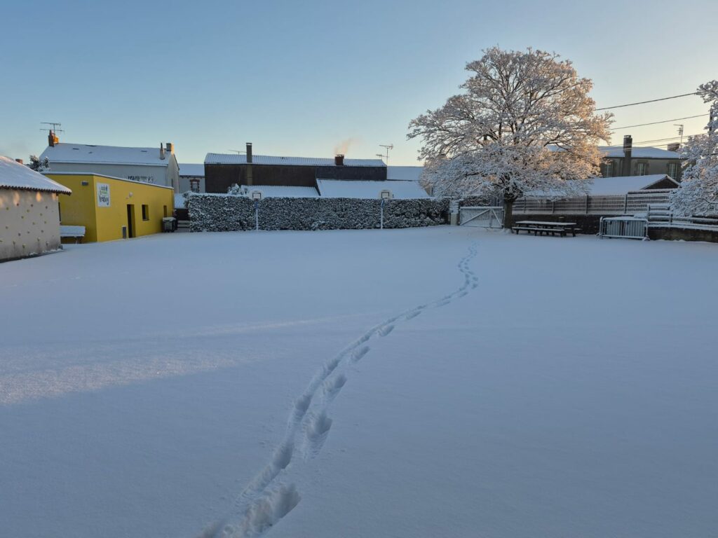 PHOTO-2026-01-06-10-04-33