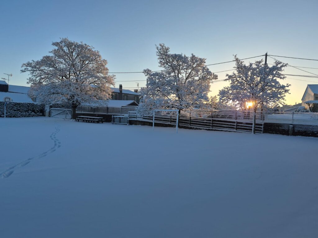 PHOTO-2026-01-06-10-04-51(1)