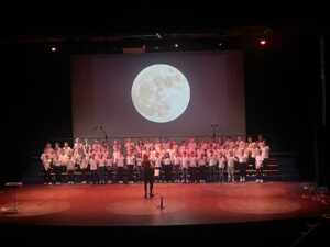 Spectacles de musique avec Elodie