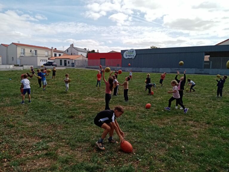 IMG_20260918_134649